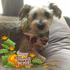 Meet your Posher, Terri